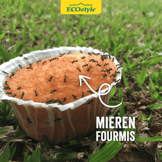 Miniatuur 3