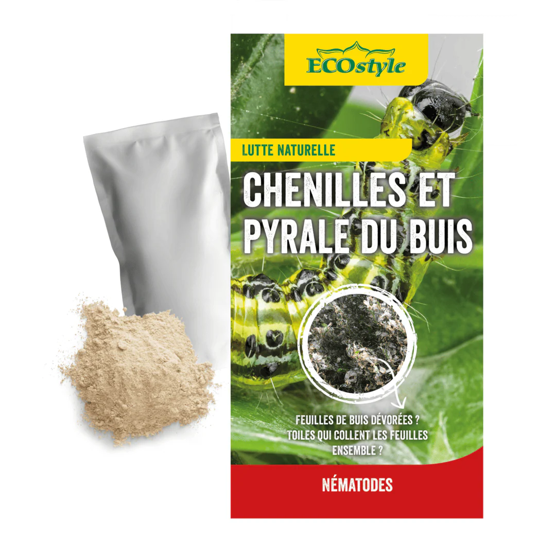 Miniatuur 2