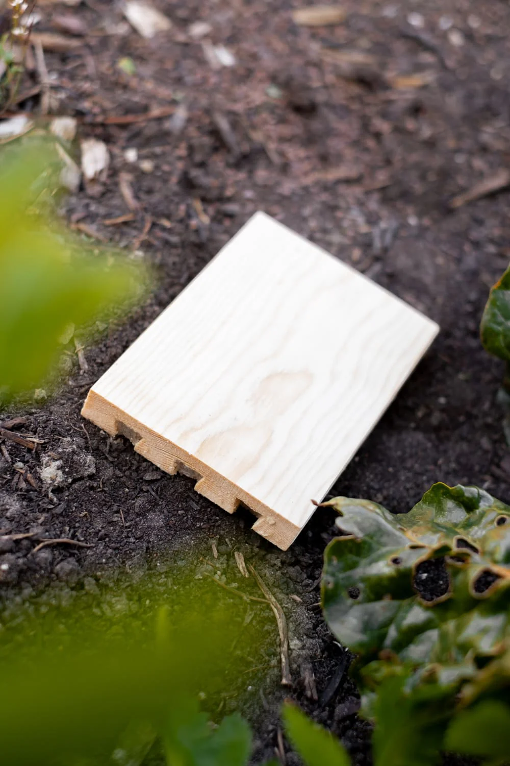 Miniatuur 3