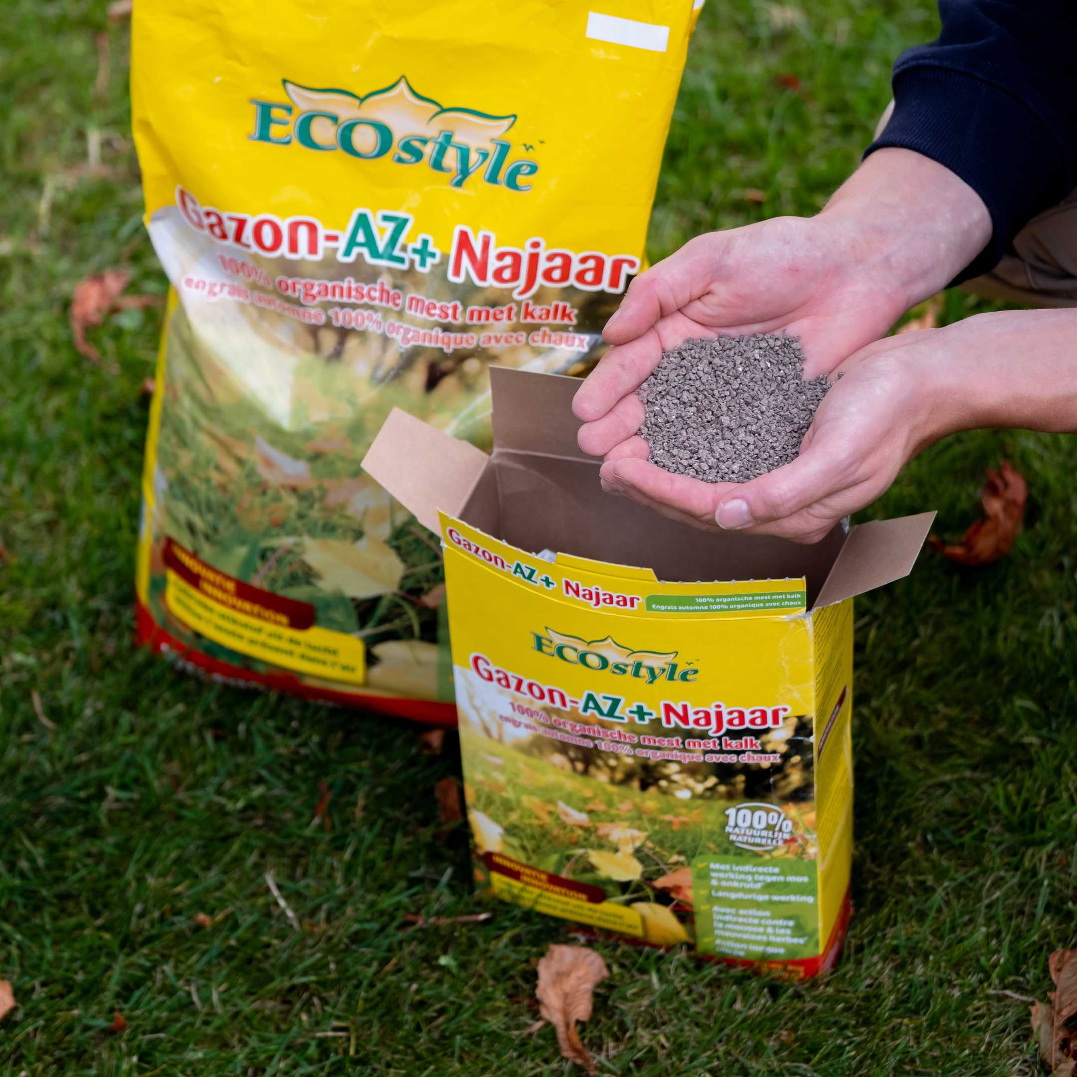 Miniatuur 2
