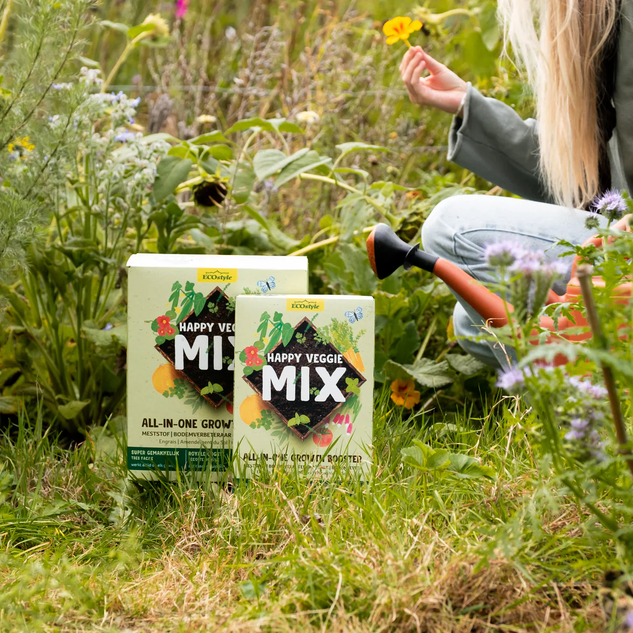 Miniatuur 2