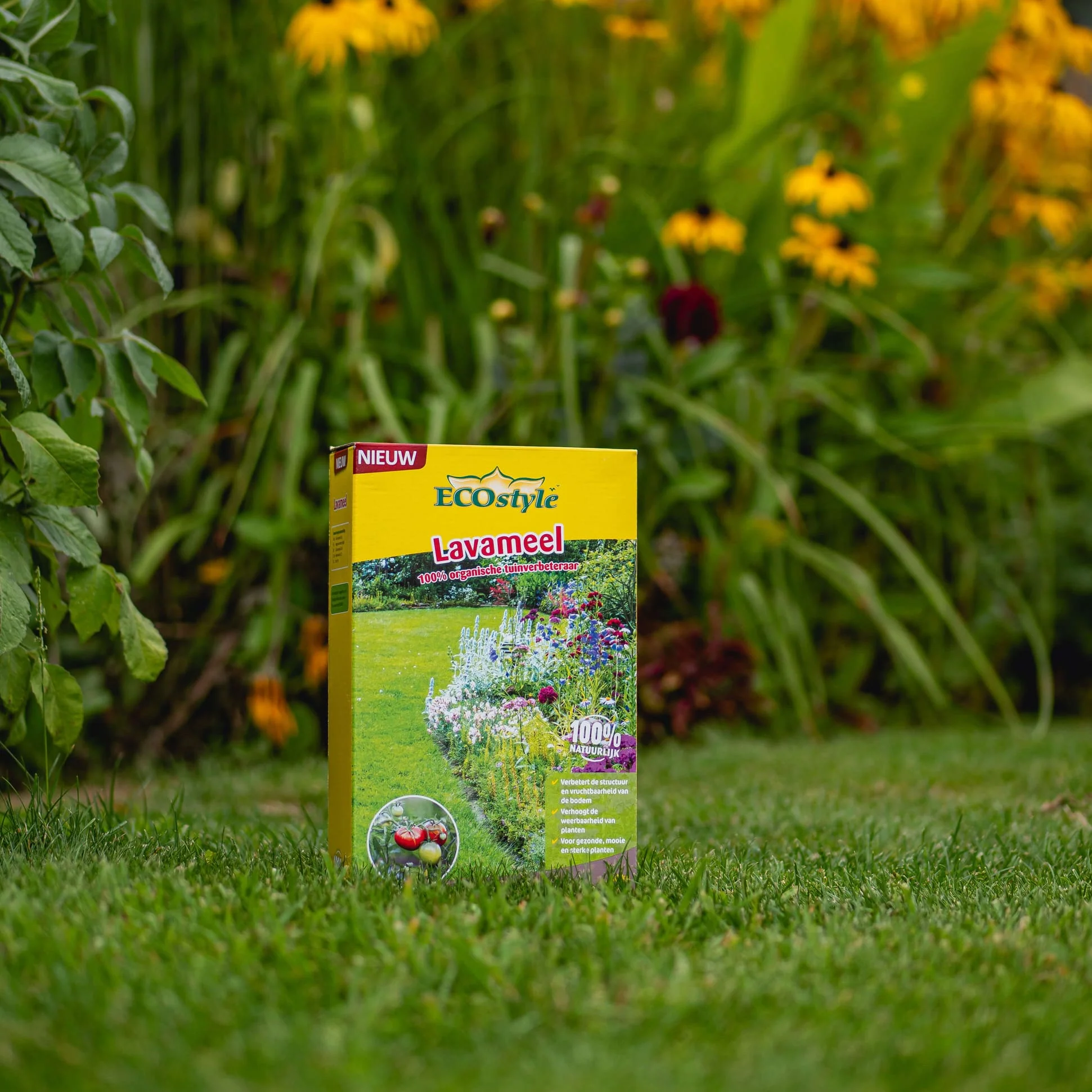 Miniatuur 4