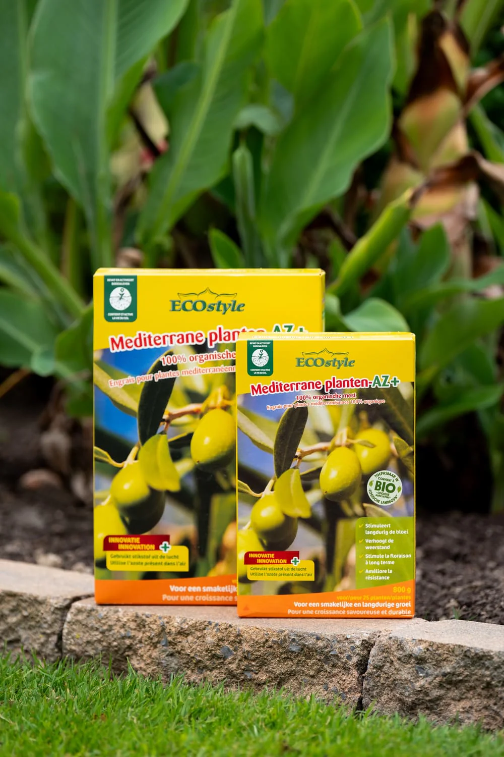 Miniatuur 2