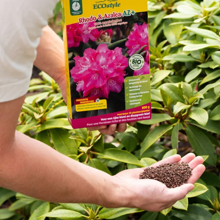 Miniatuur 3